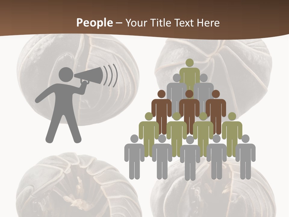 Face Armor Rolypoly PowerPoint Template