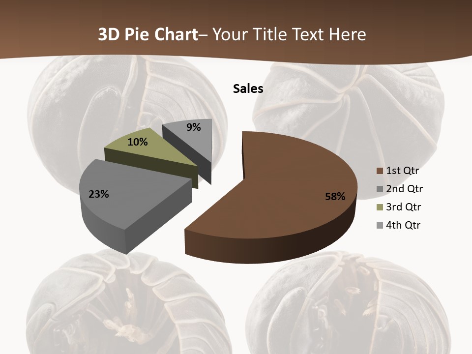 Face Armor Rolypoly PowerPoint Template