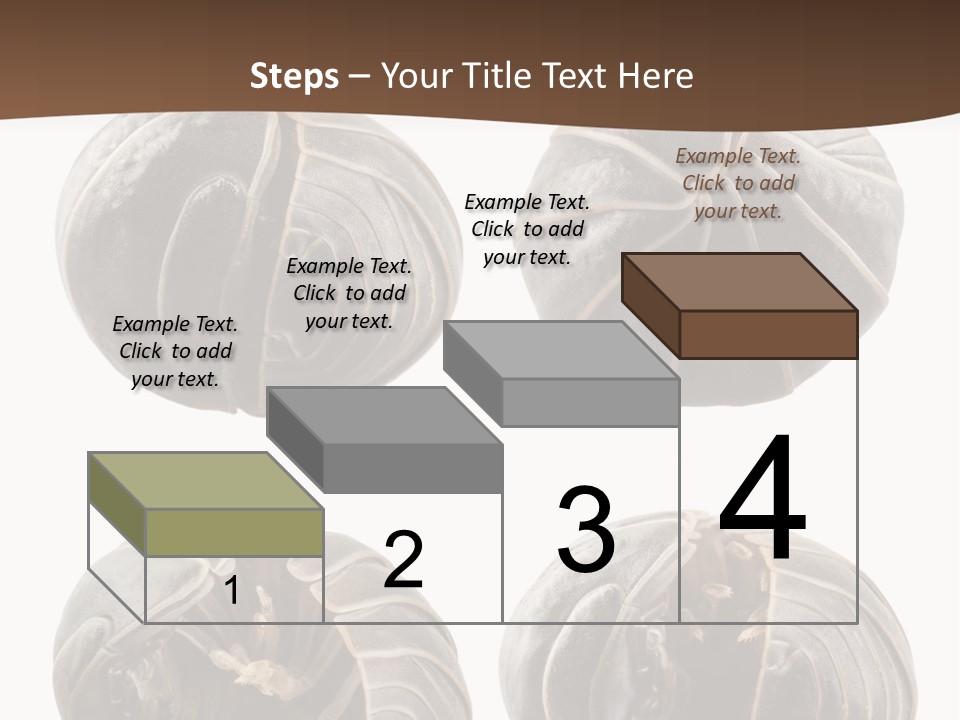 Face Armor Rolypoly PowerPoint Template