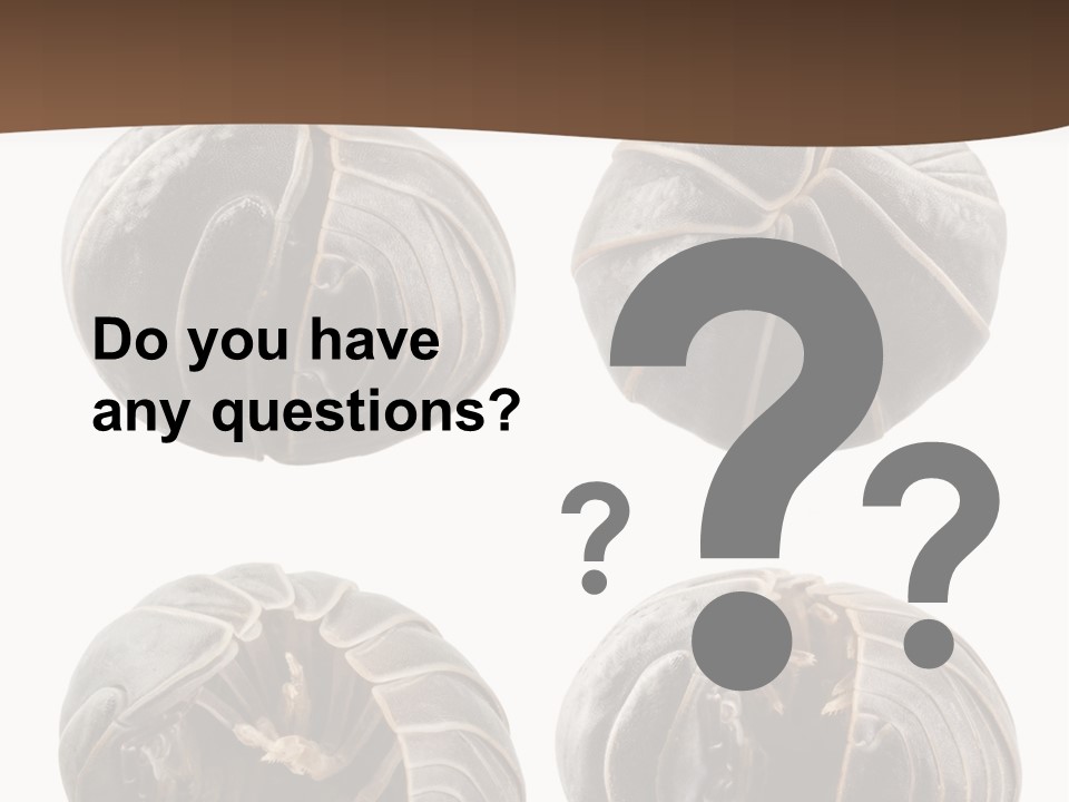 Face Armor Rolypoly PowerPoint Template