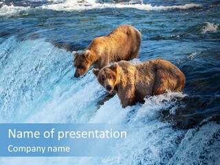 Katmai Alaska Cold PowerPoint Template