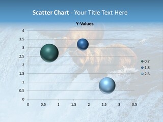 Katmai Alaska Cold PowerPoint Template