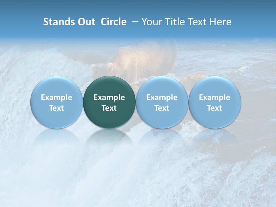 Katmai Alaska Cold PowerPoint Template