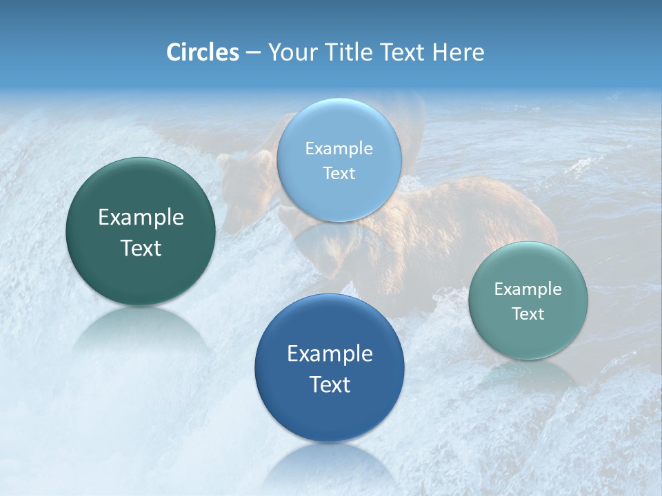 Katmai Alaska Cold PowerPoint Template