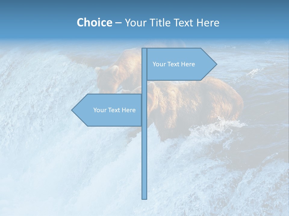 Katmai Alaska Cold PowerPoint Template