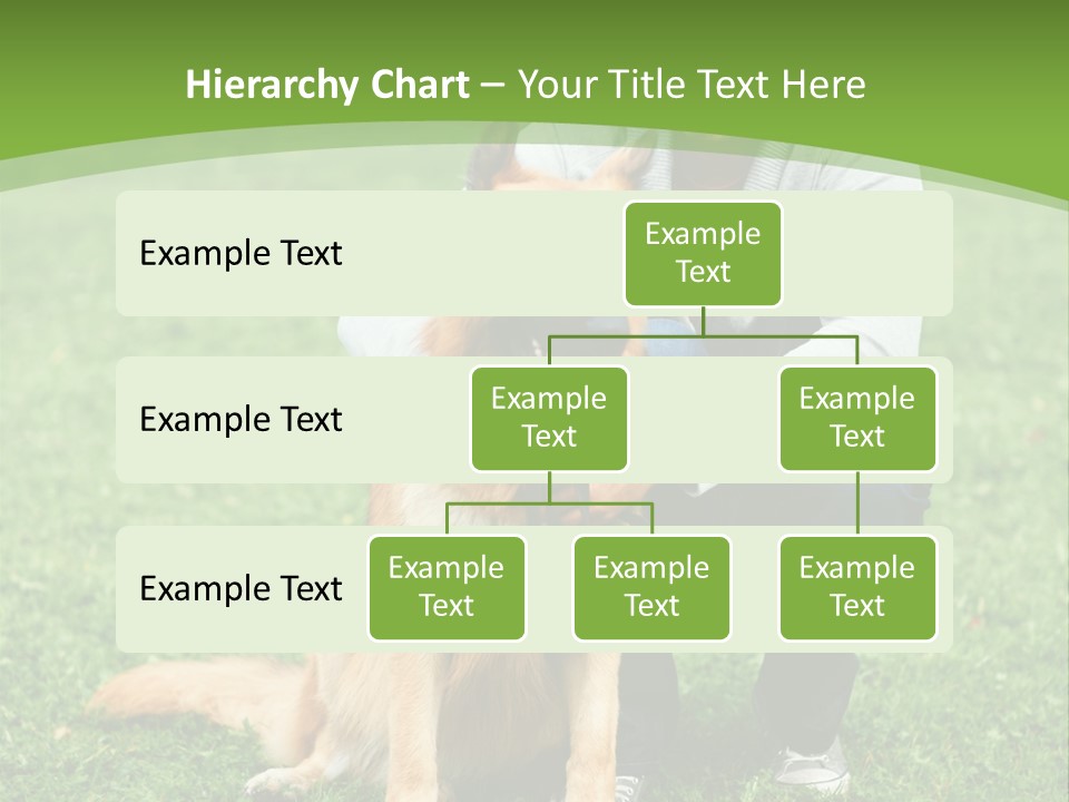 Team Healthy Athlete PowerPoint Template