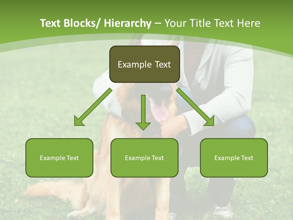 Team Healthy Athlete PowerPoint Template