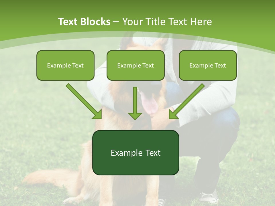 Team Healthy Athlete PowerPoint Template
