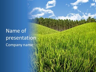 Eucalyptus Wide Organic Food PowerPoint Template