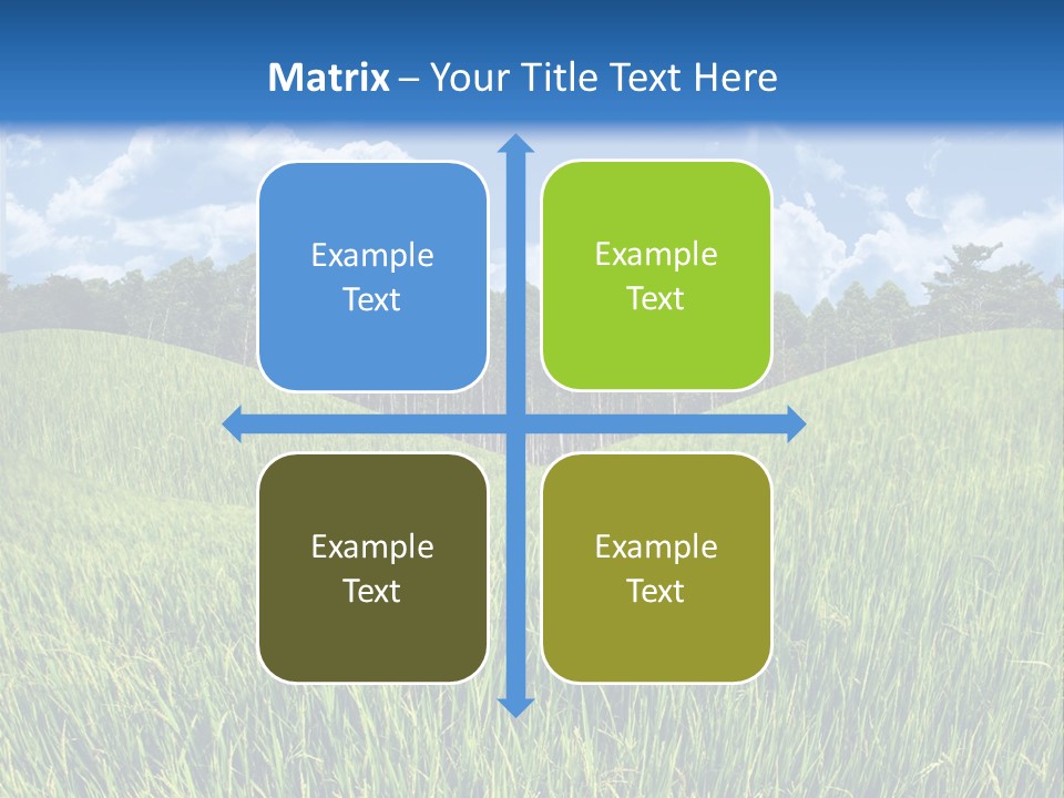 Eucalyptus Wide Organic Food PowerPoint Template