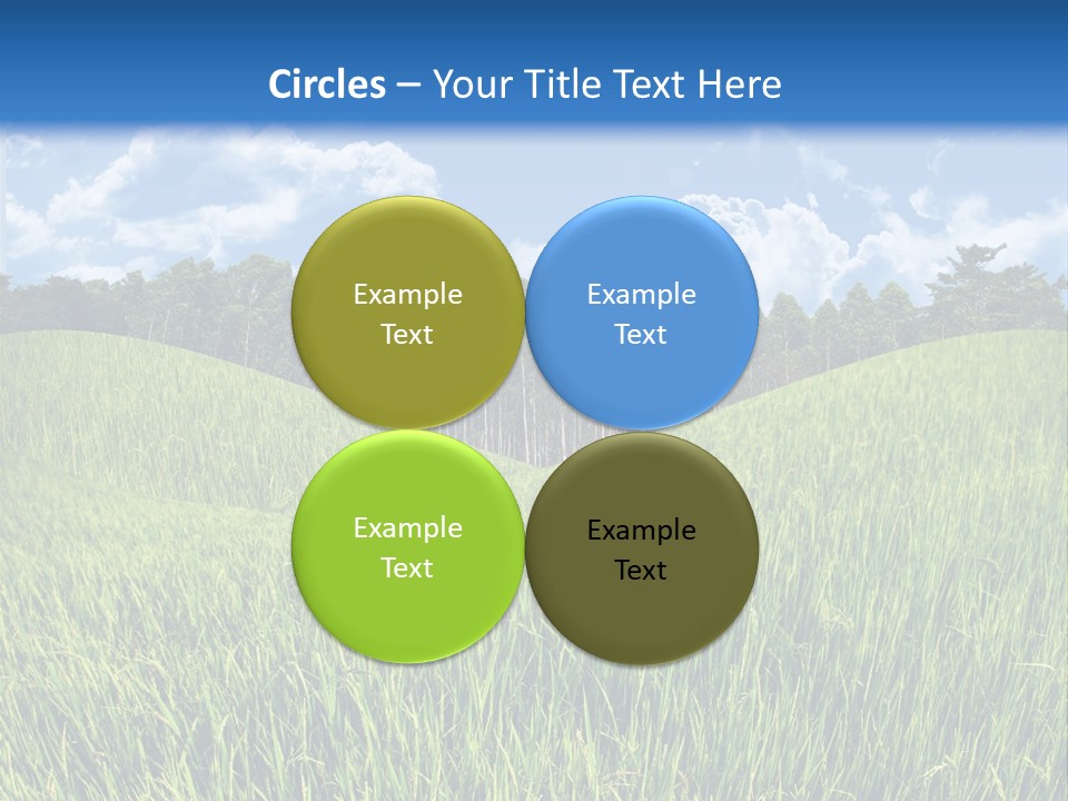 Eucalyptus Wide Organic Food PowerPoint Template