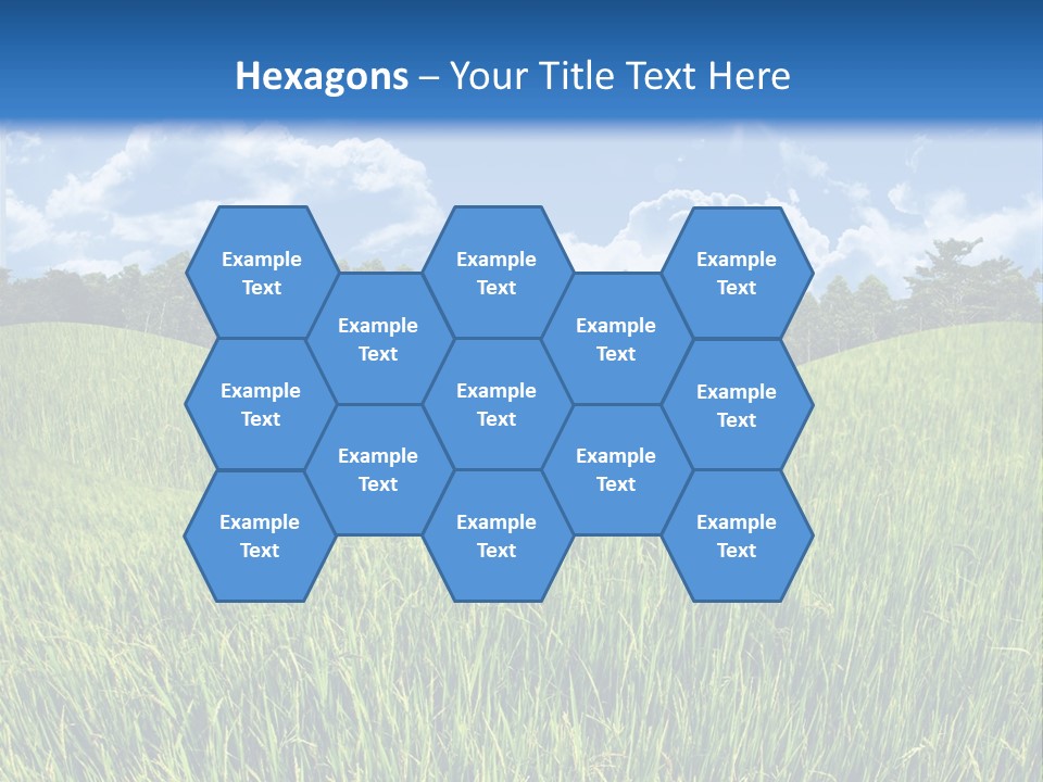 Eucalyptus Wide Organic Food PowerPoint Template