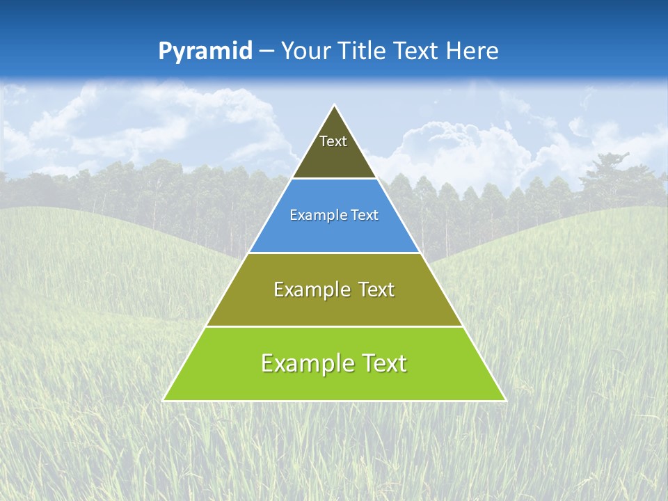 Eucalyptus Wide Organic Food PowerPoint Template