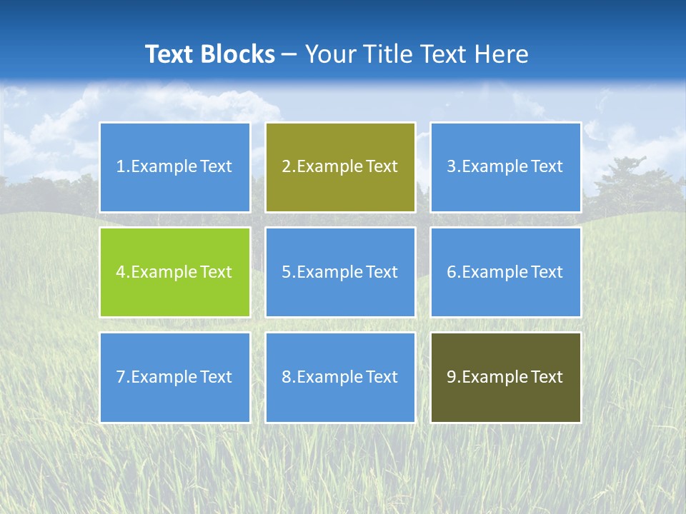 Eucalyptus Wide Organic Food PowerPoint Template