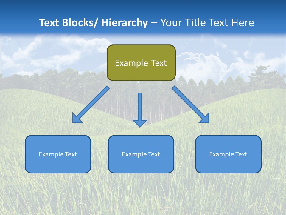 Eucalyptus Wide Organic Food PowerPoint Template