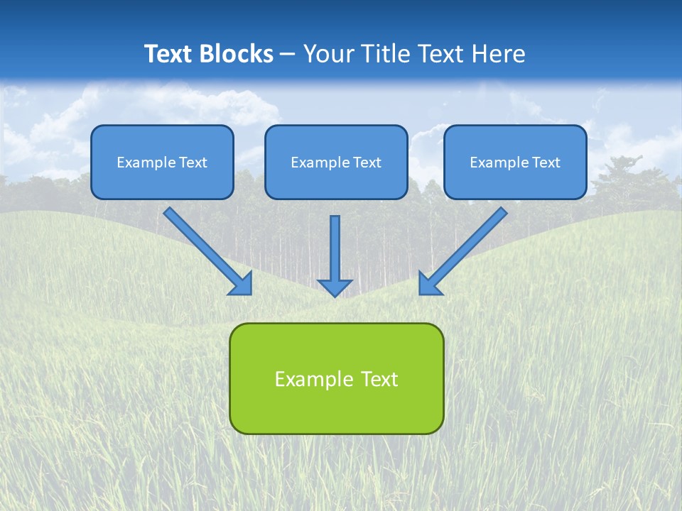 Eucalyptus Wide Organic Food PowerPoint Template