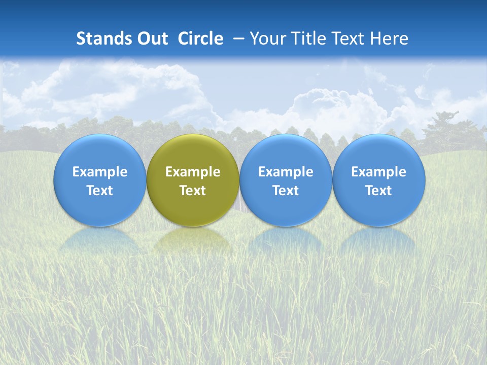 Eucalyptus Wide Organic Food PowerPoint Template