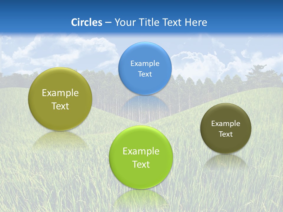 Eucalyptus Wide Organic Food PowerPoint Template