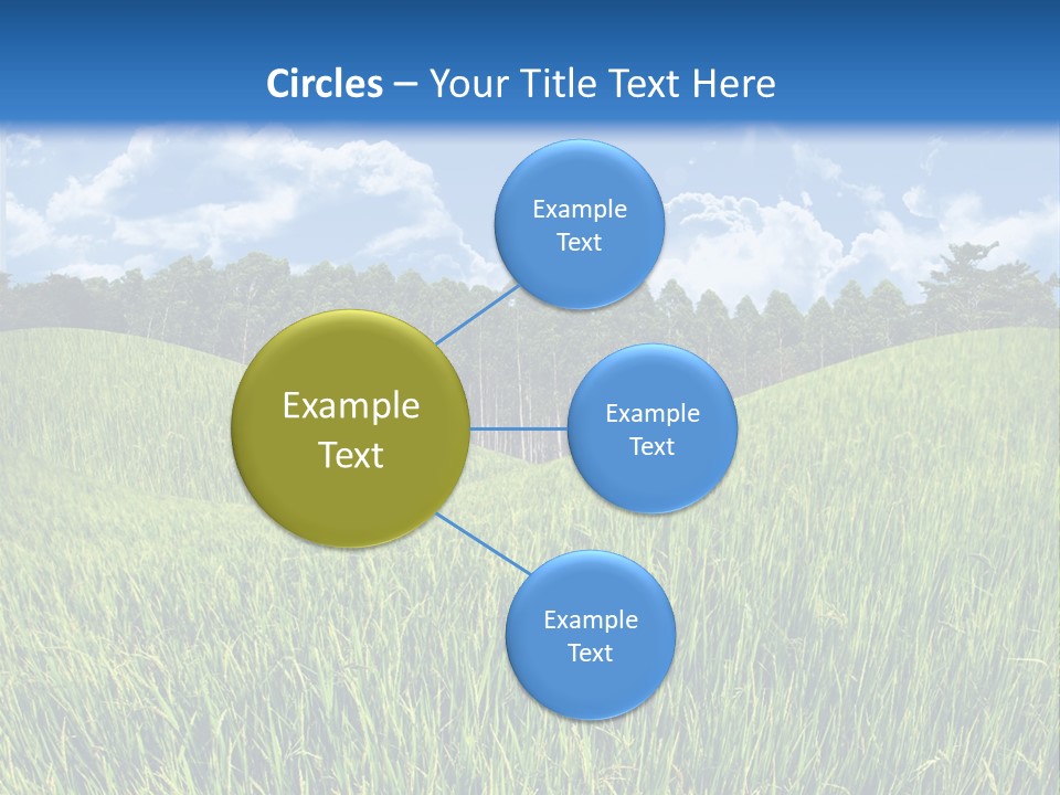 Eucalyptus Wide Organic Food PowerPoint Template
