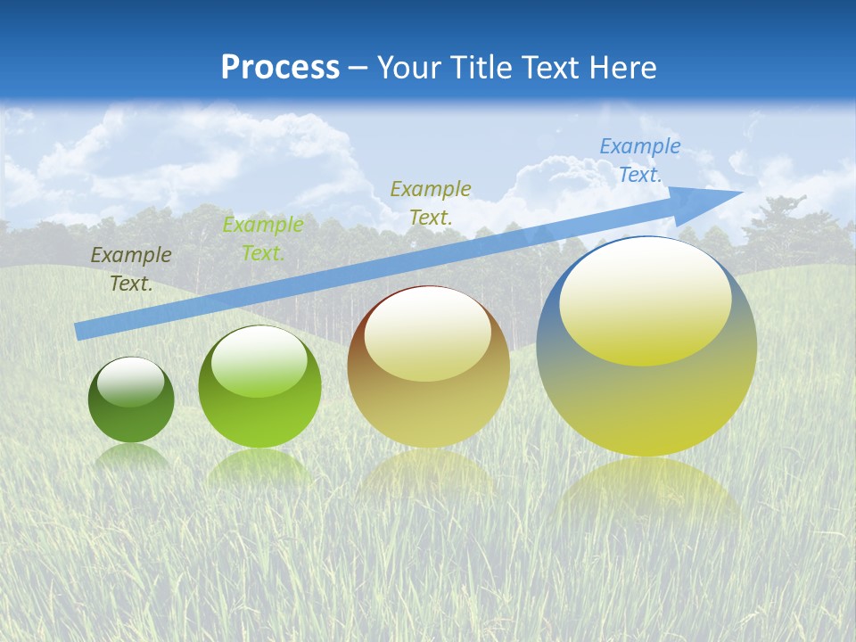 Eucalyptus Wide Organic Food PowerPoint Template
