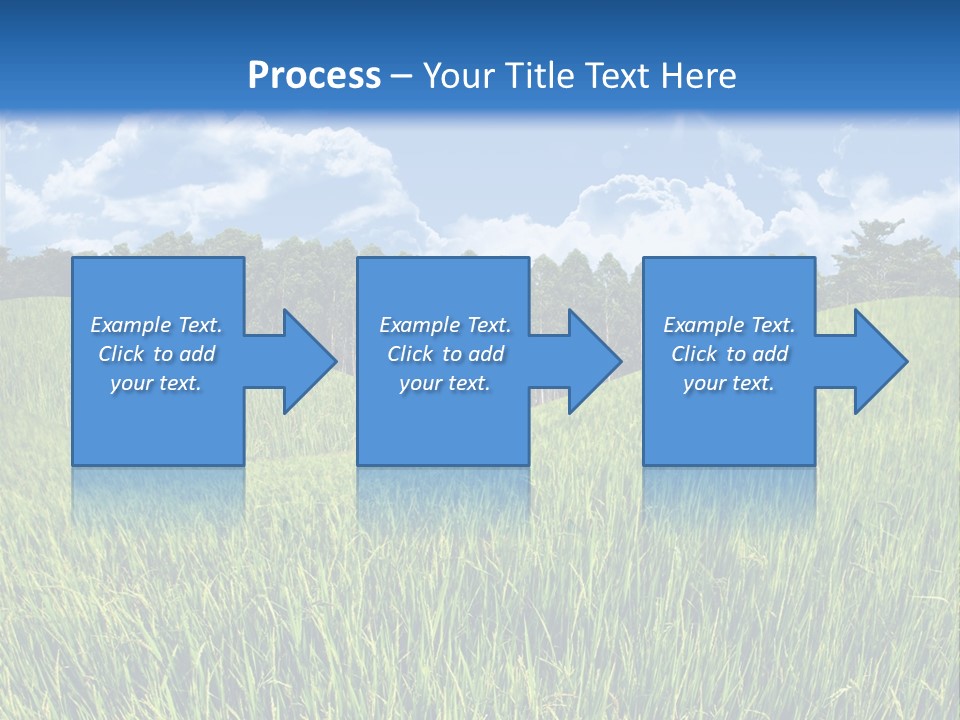 Eucalyptus Wide Organic Food PowerPoint Template