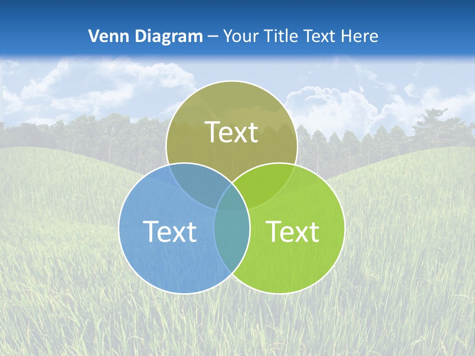 Eucalyptus Wide Organic Food PowerPoint Template