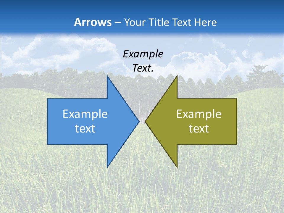 Eucalyptus Wide Organic Food PowerPoint Template