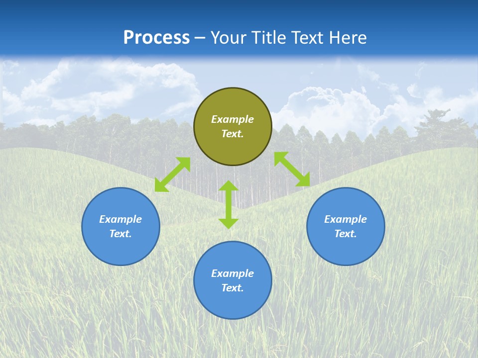 Eucalyptus Wide Organic Food PowerPoint Template