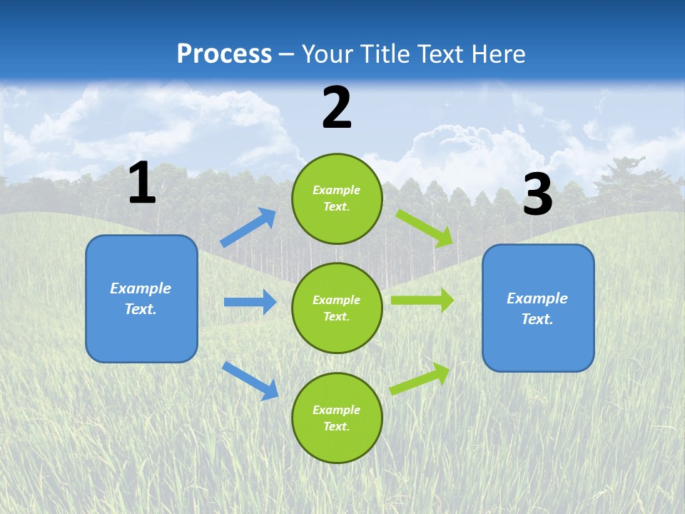 Eucalyptus Wide Organic Food PowerPoint Template