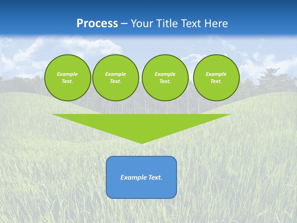 Eucalyptus Wide Organic Food PowerPoint Template