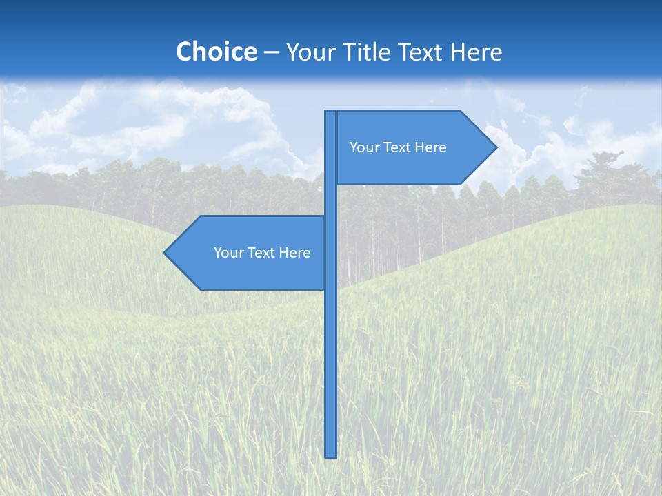 Eucalyptus Wide Organic Food PowerPoint Template