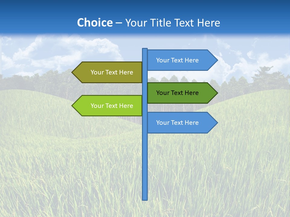 Eucalyptus Wide Organic Food PowerPoint Template