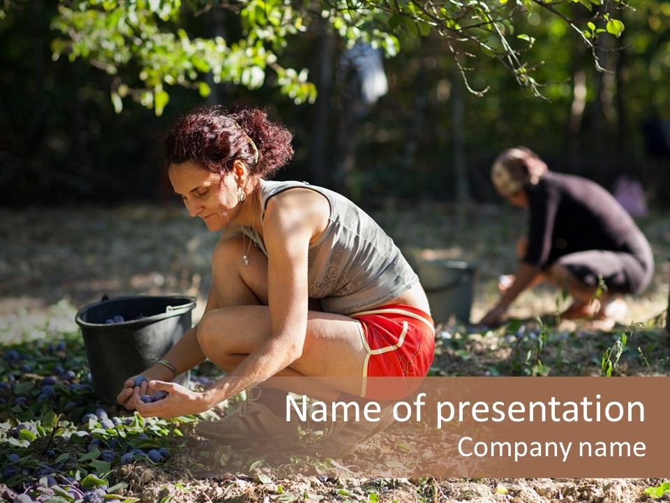 Plants Young Collecting PowerPoint Template