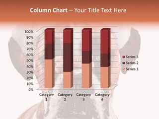 Red Wrinkle Santa PowerPoint Template