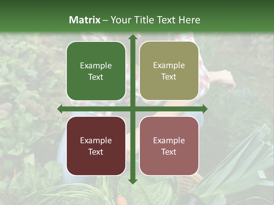 Woman  Smiling PowerPoint Template