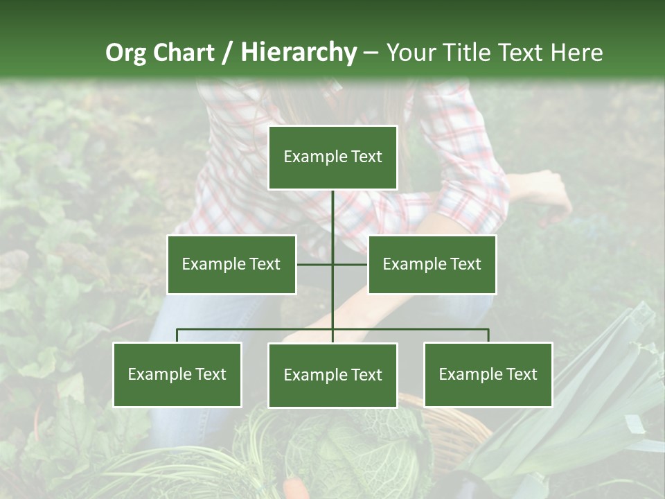 Woman  Smiling PowerPoint Template