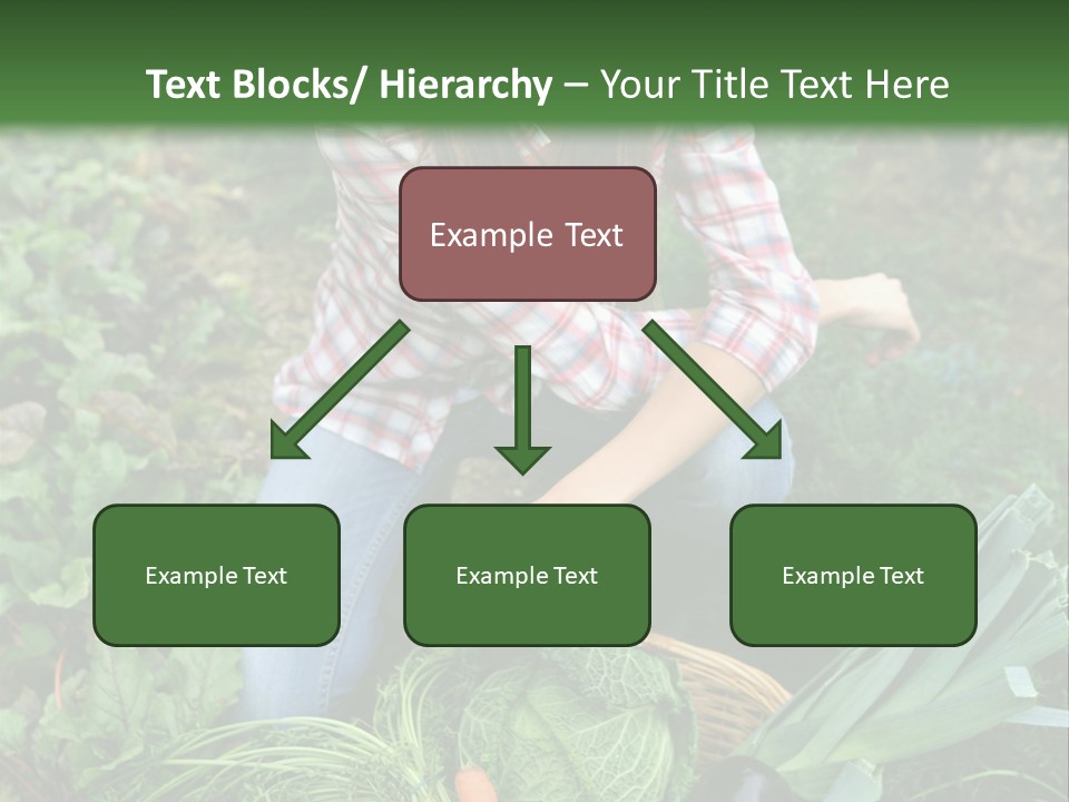 Woman  Smiling PowerPoint Template