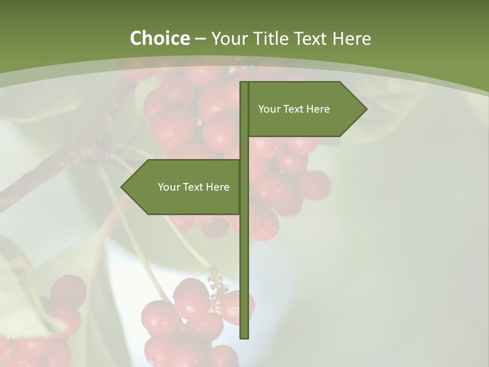 Green Nobody Outdoor PowerPoint Template