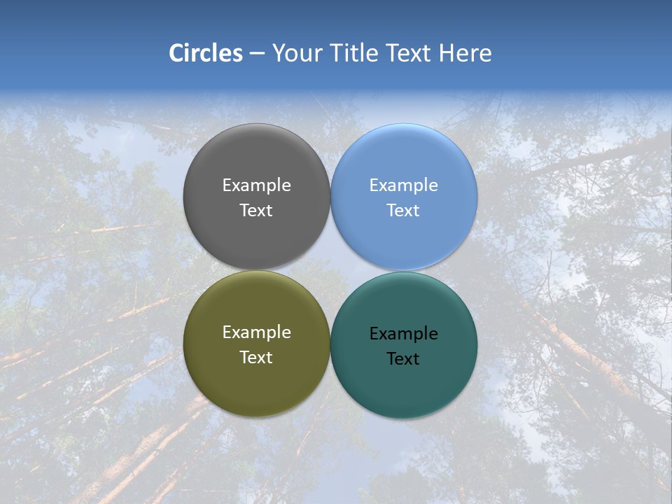 Stump Autumn Firewood PowerPoint Template