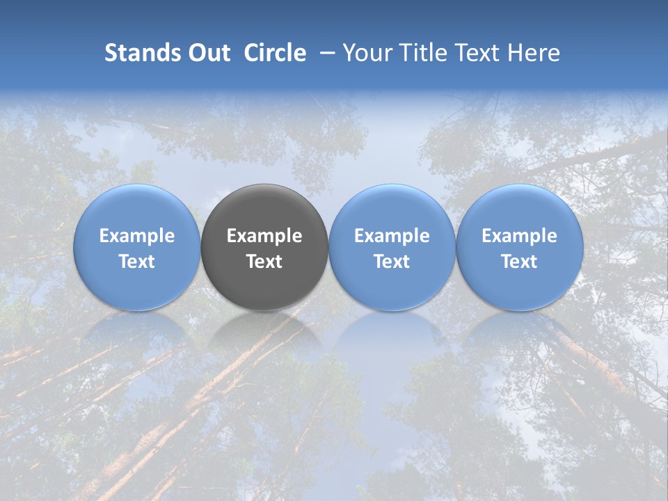 Stump Autumn Firewood PowerPoint Template