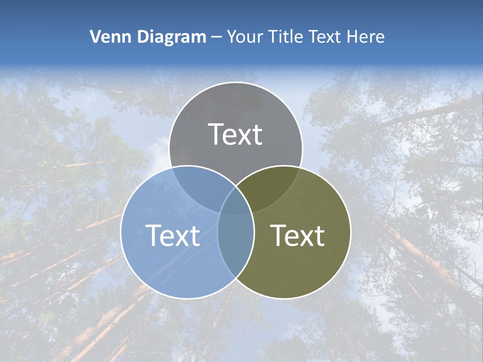 Stump Autumn Firewood PowerPoint Template