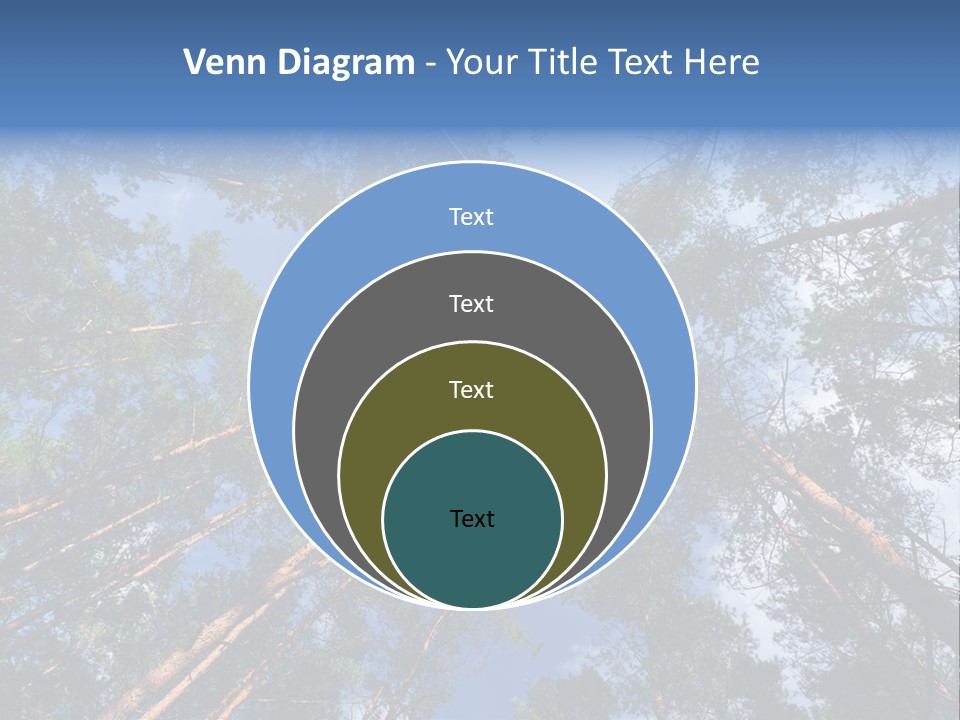 Stump Autumn Firewood PowerPoint Template