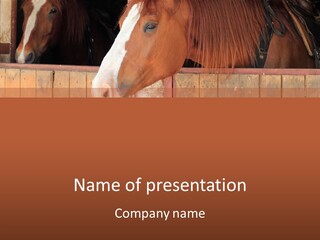 Animal Ranch Young PowerPoint Template