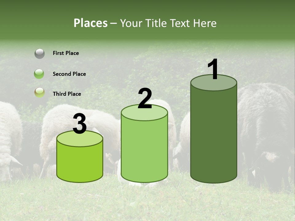 Carpathian Mountains Guard Tatra Mountains PowerPoint Template