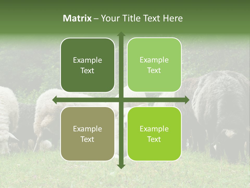 Carpathian Mountains Guard Tatra Mountains PowerPoint Template