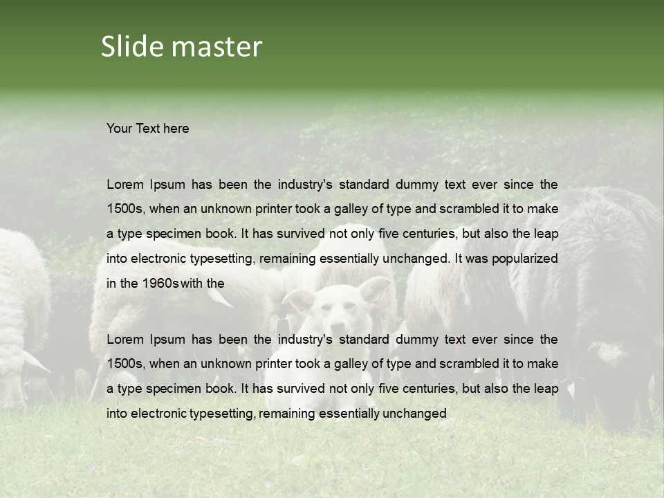 Carpathian Mountains Guard Tatra Mountains PowerPoint Template