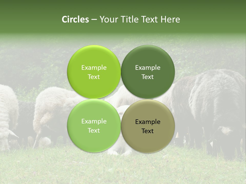 Carpathian Mountains Guard Tatra Mountains PowerPoint Template