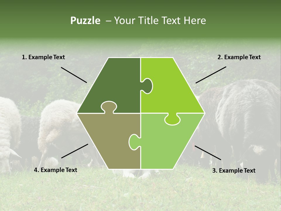 Carpathian Mountains Guard Tatra Mountains PowerPoint Template