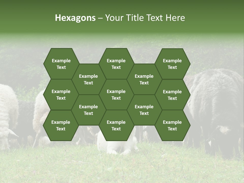 Carpathian Mountains Guard Tatra Mountains PowerPoint Template