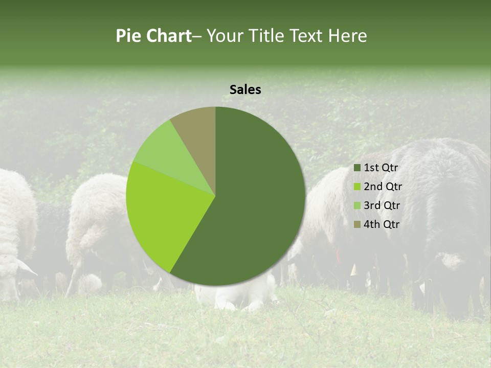 Carpathian Mountains Guard Tatra Mountains PowerPoint Template